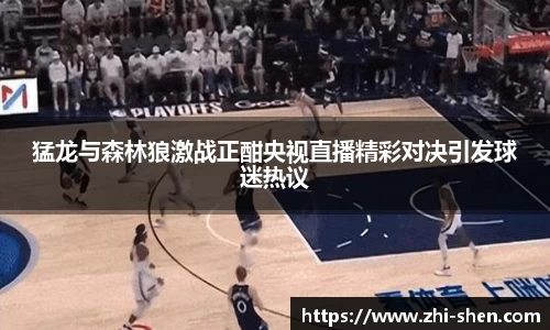 猛龙与森林狼激战正酣央视直播精彩对决引发球迷热议