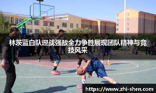 林茨蓝白队迎战强敌全力争胜展现团队精神与竞技风采